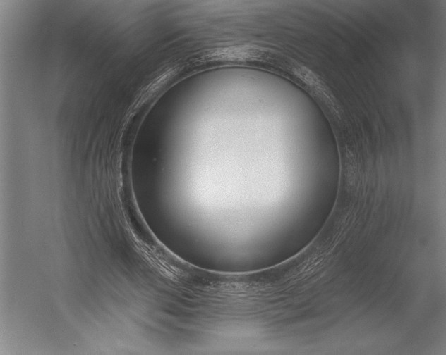 X0000053000486200507221251