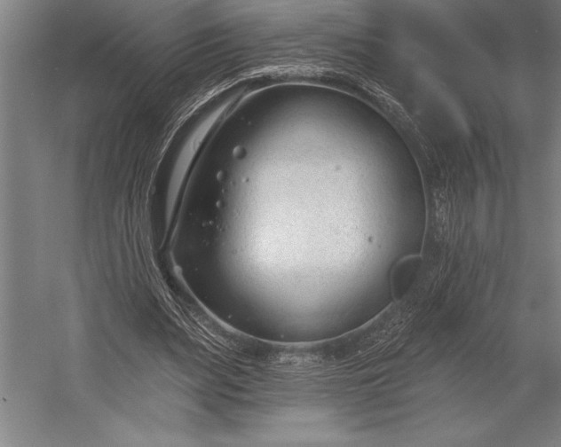 X0000053000487200507221251