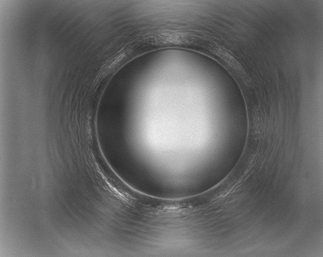 X0000053000489200507221251