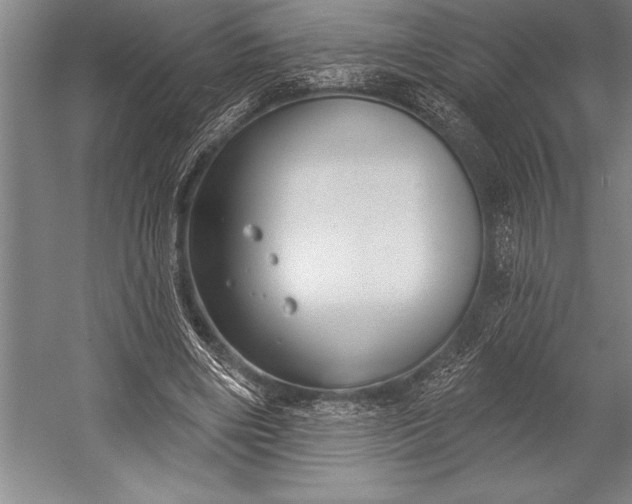 X0000053000490200507221251