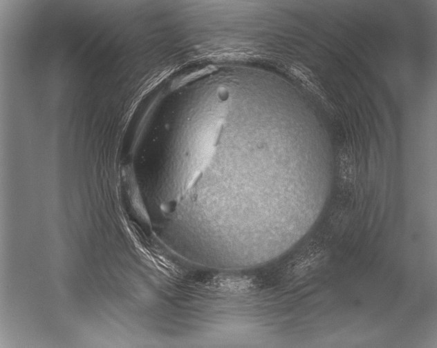 X0000053000491200507221251