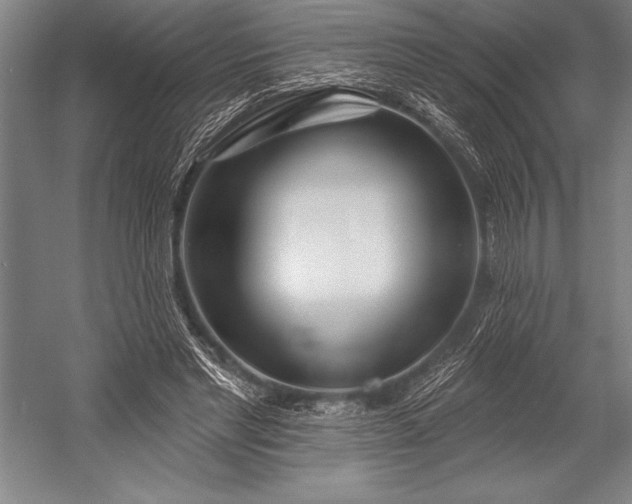 X0000053000493200507221251