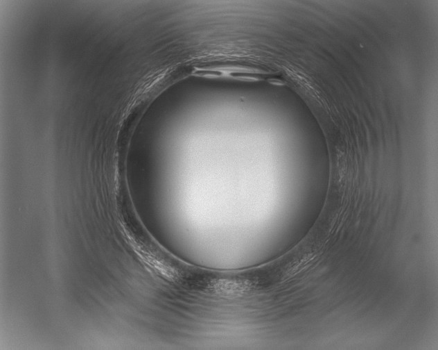 X0000053000494200507221251