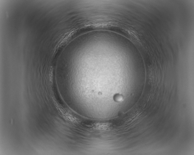 X0000053000495200507221251