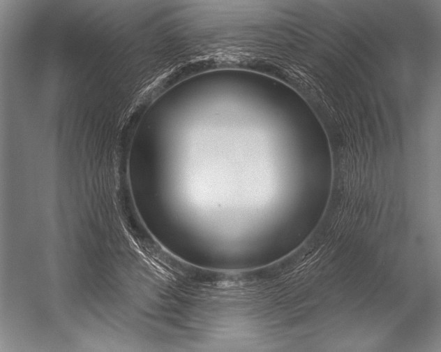 X0000053000496200507221251