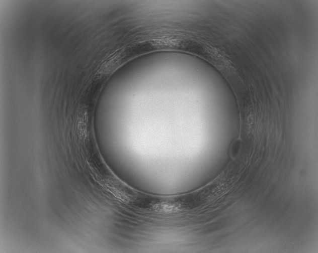 X0000053000498200507221251