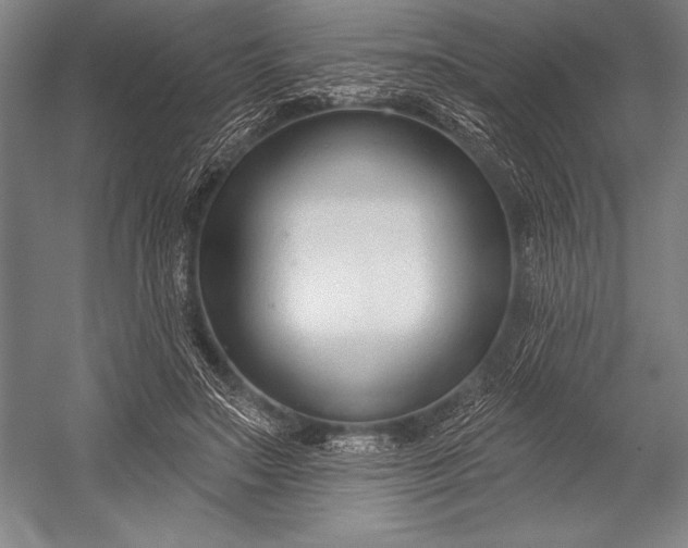 X0000053000499200507221251