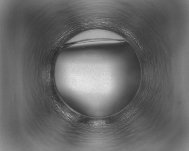 X0000053000501200507221251