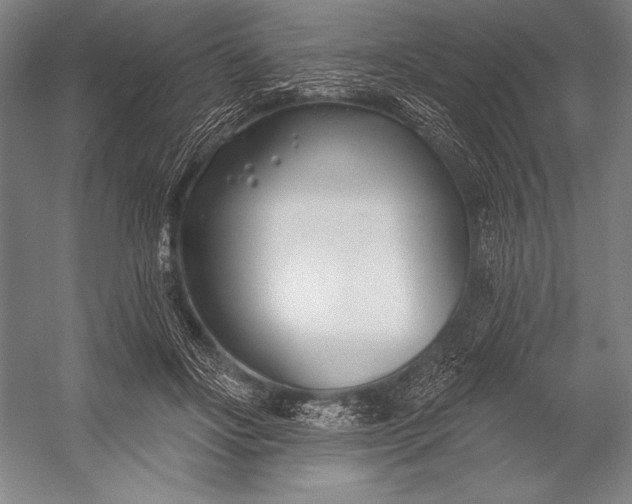 X0000053000502200507221251