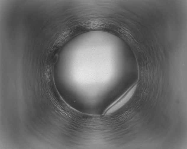 X0000053000503200507221251