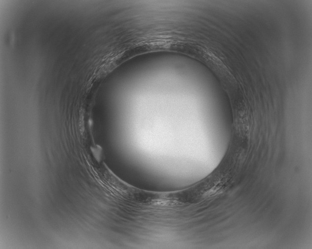 X0000053000504200507221250