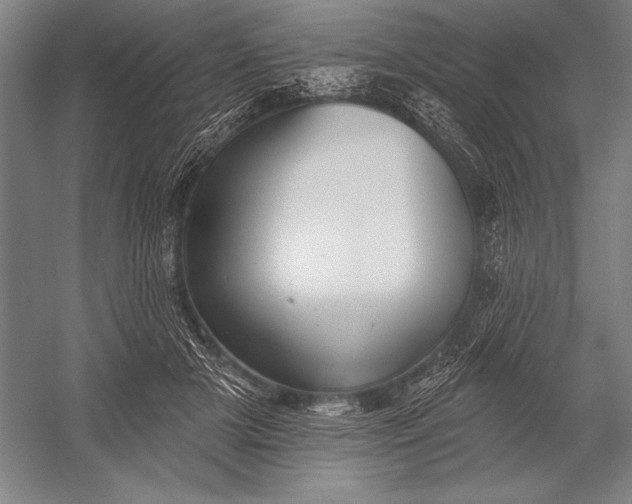 X0000053000505200507221250