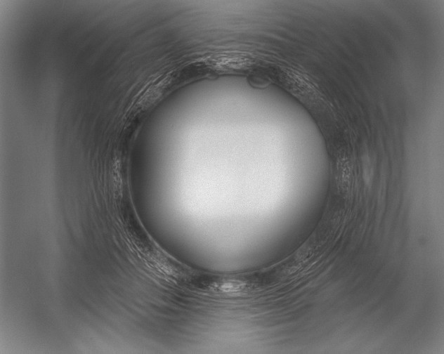 X0000053000506200507221250