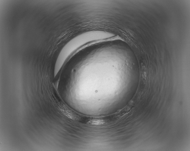 X0000053000507200507221250