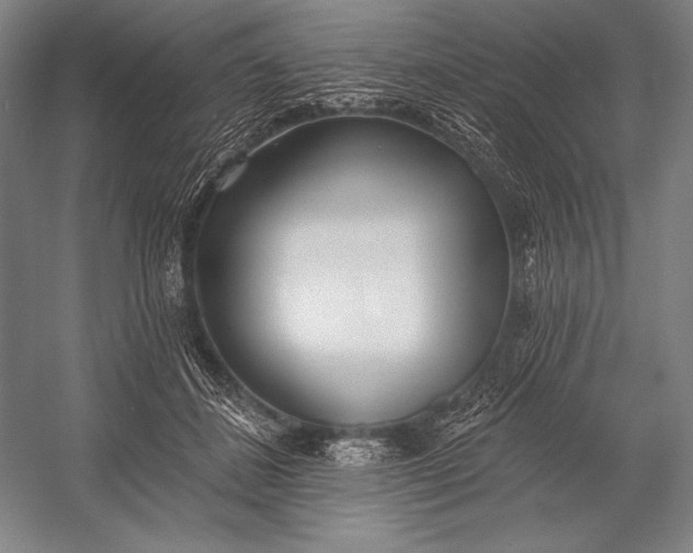 X0000053000508200507221250