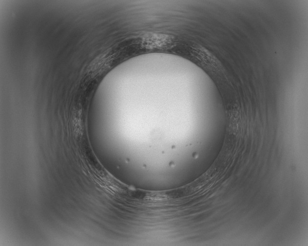 X0000053000510200507221250