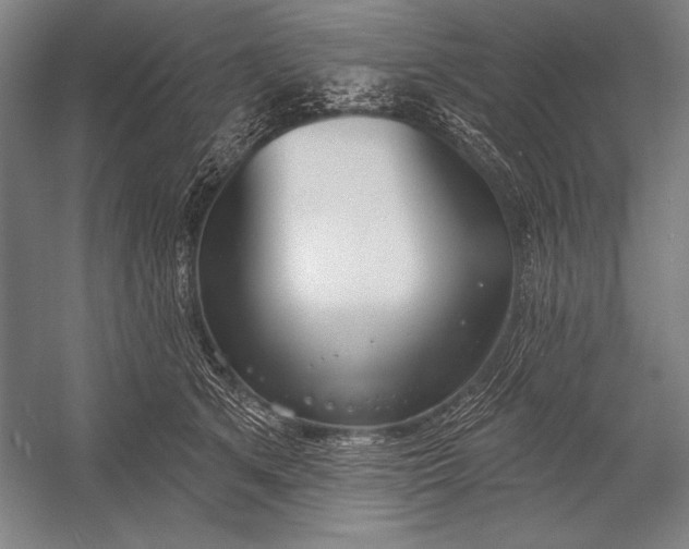 X0000053000513200507221250