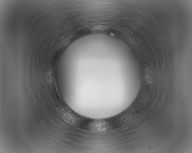 X0000053000514200507221250