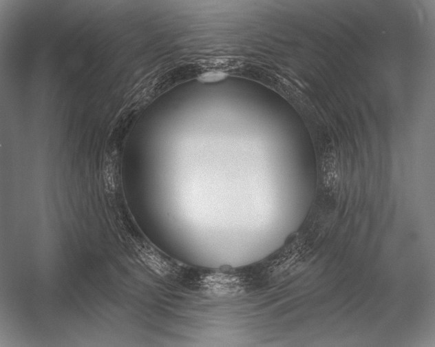 X0000053000515200507221250