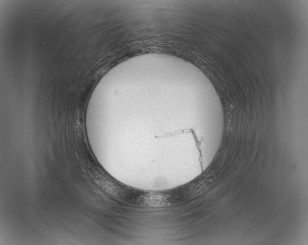 X0000053000518200507221250