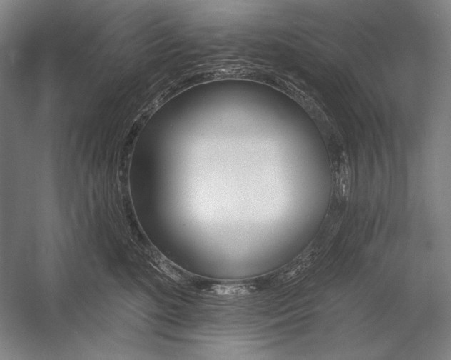 X0000053000520200507221250