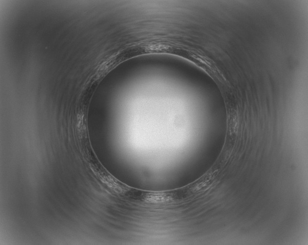 X0000053000521200507221250