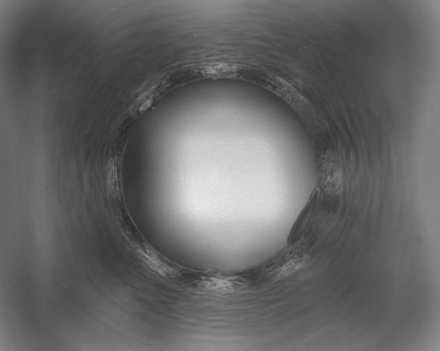 X0000053000523200507221250