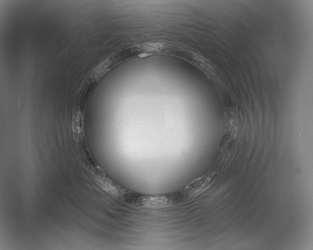 X0000053000525200507221250