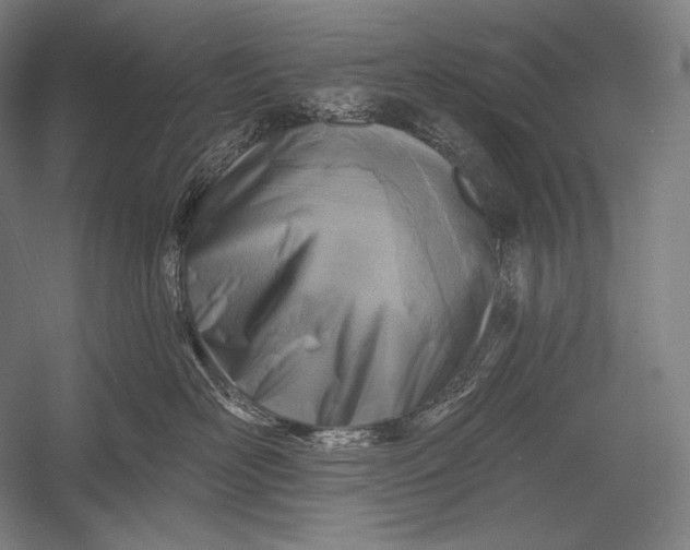 X0000053000526200507221250