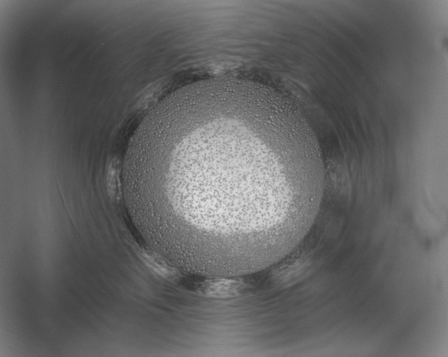 X0000053000527200507221250