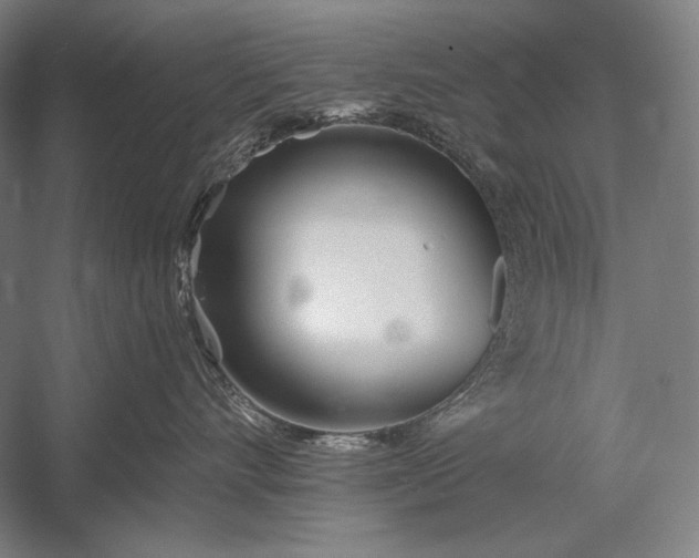 X0000053000528200507221250