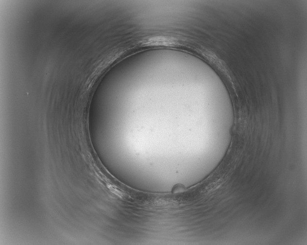 X0000053000529200507221249