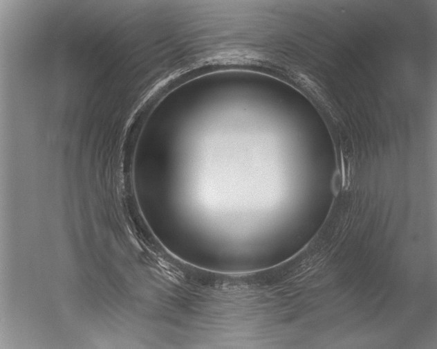 X0000053000531200507221249