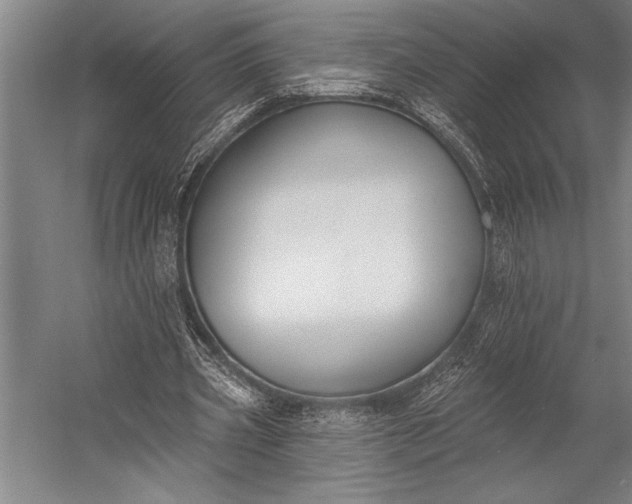 X0000053000533200507221249