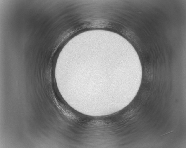 X0000053000534200507221249