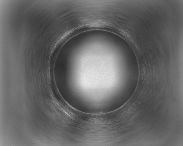 X0000053000535200507221249