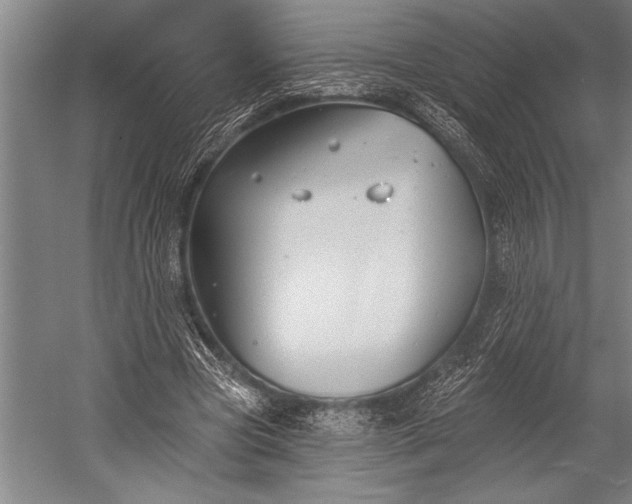 X0000053000537200507221249