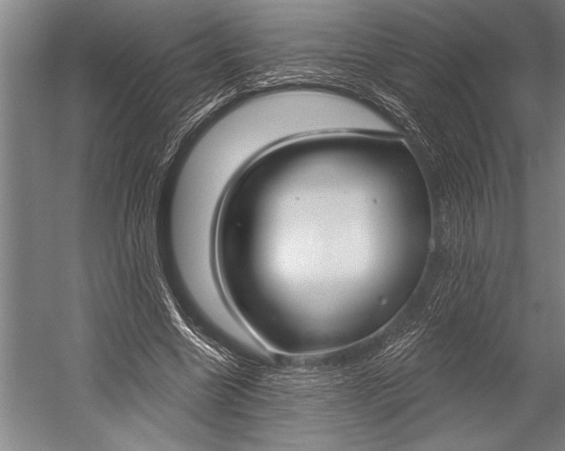 X0000053000538200507221249