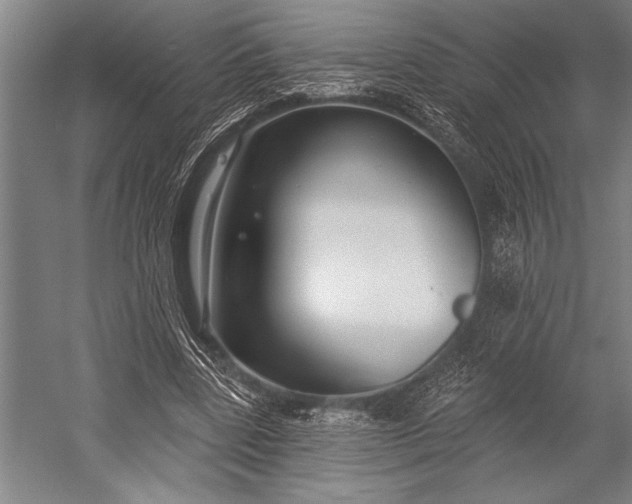 X0000053000539200507221249