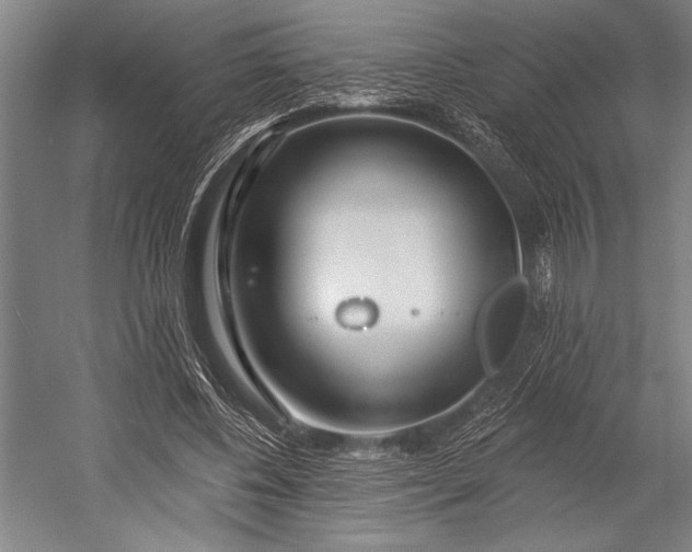 X0000053000540200507221249