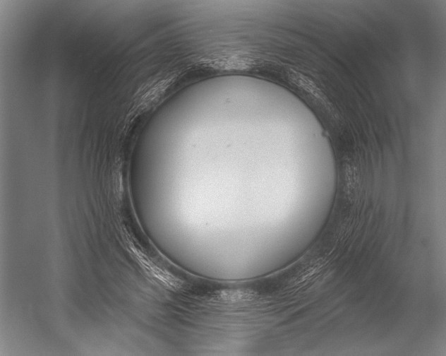 X0000053000541200507221249