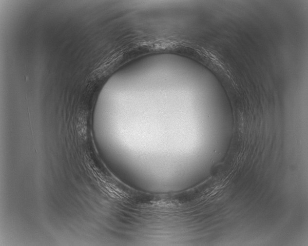 X0000053000545200507221250