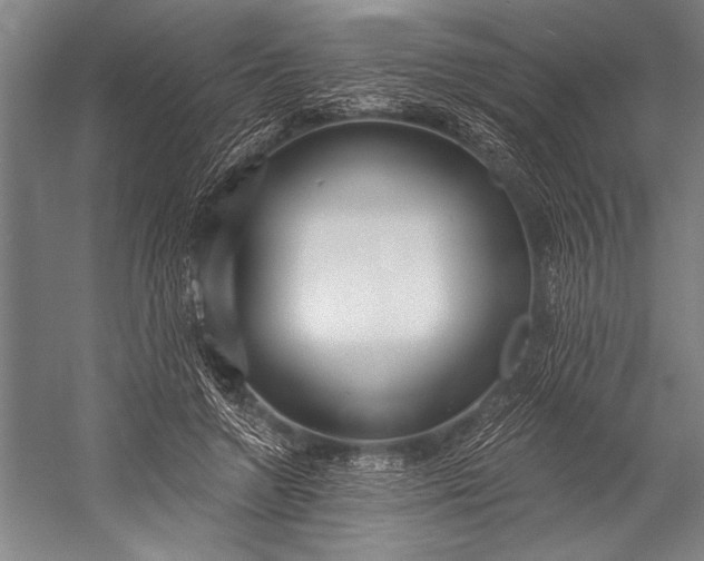 X0000053000546200507221250