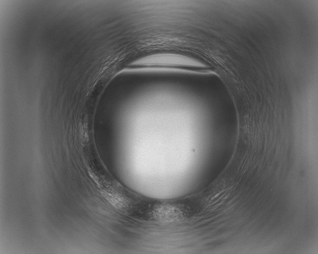 X0000053000547200507221250