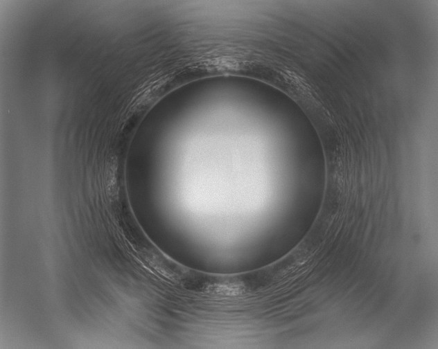 X0000053000548200507221250