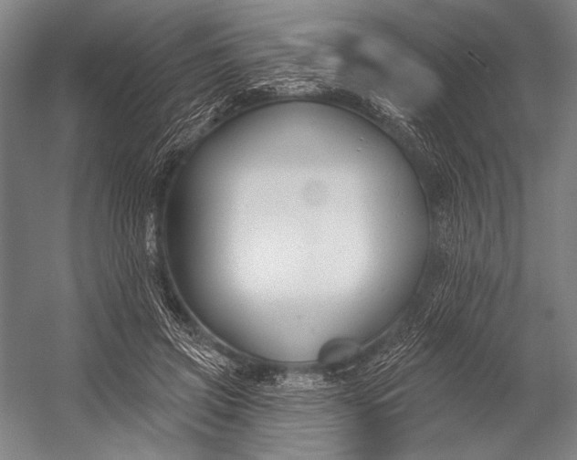 X0000053000549200507221250