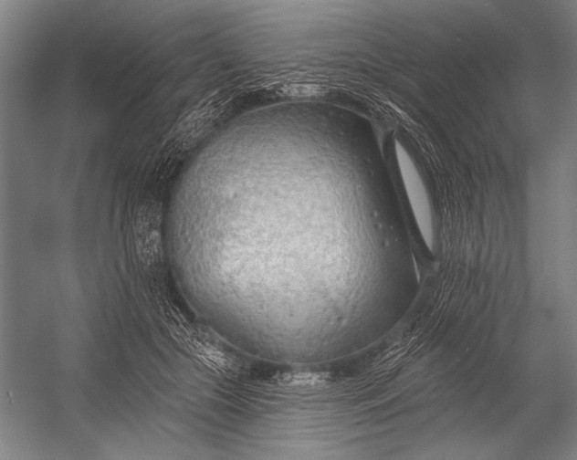 X0000053000553200507221250