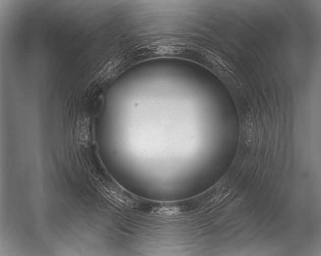 X0000053000554200507221250