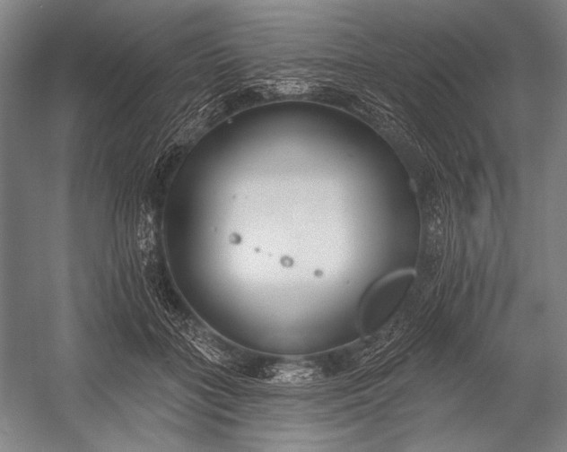 X0000053000555200507221250