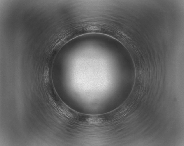 X0000053000556200507221250